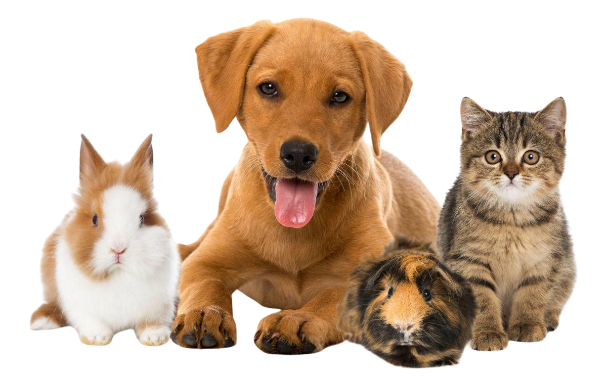 hero-pets