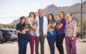 Desert Forest Animal Hospital veterinary team with dogs in Cave Creek, Arizona