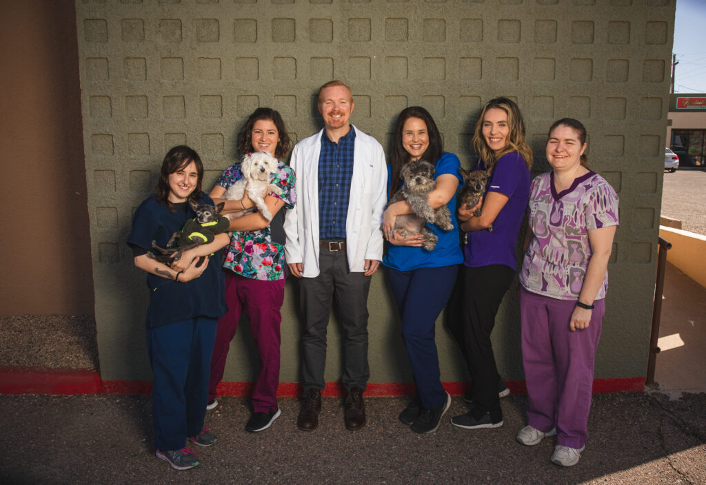 Desert Forest Animal Hospital veterinary team in Cave Creek Arizona with dogs