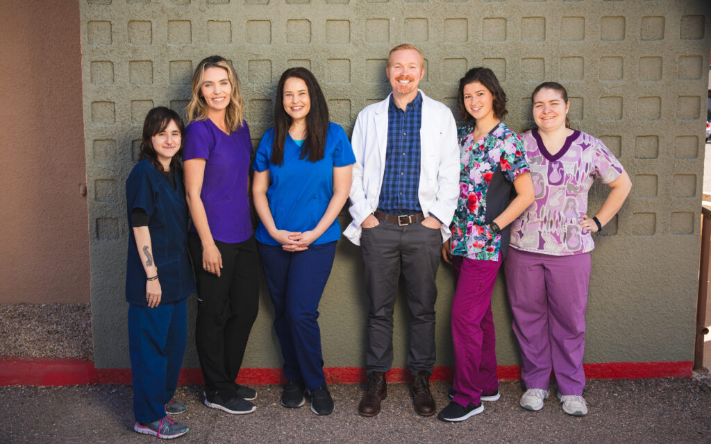 Desert Forest Animal Hospital veterinary team in Cave Creek, Arizona