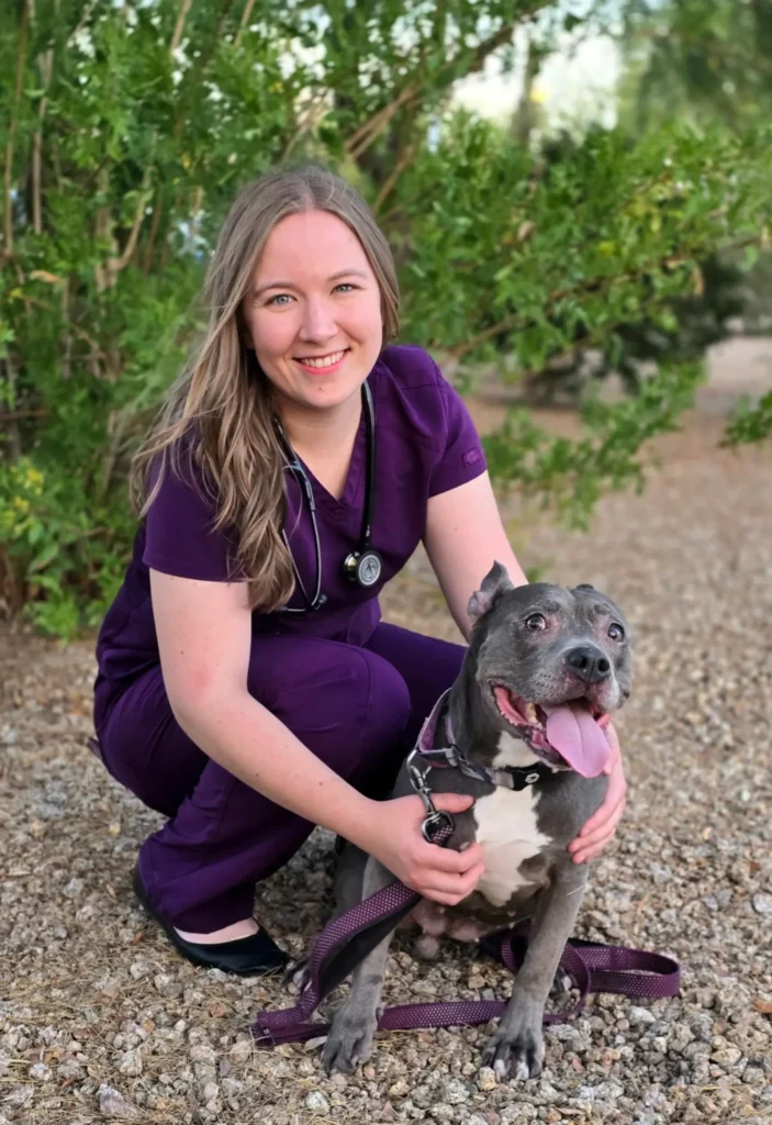 Dr. Quinn Bauer, DVM with a canine patient at Desert Forest Animal Hospital
