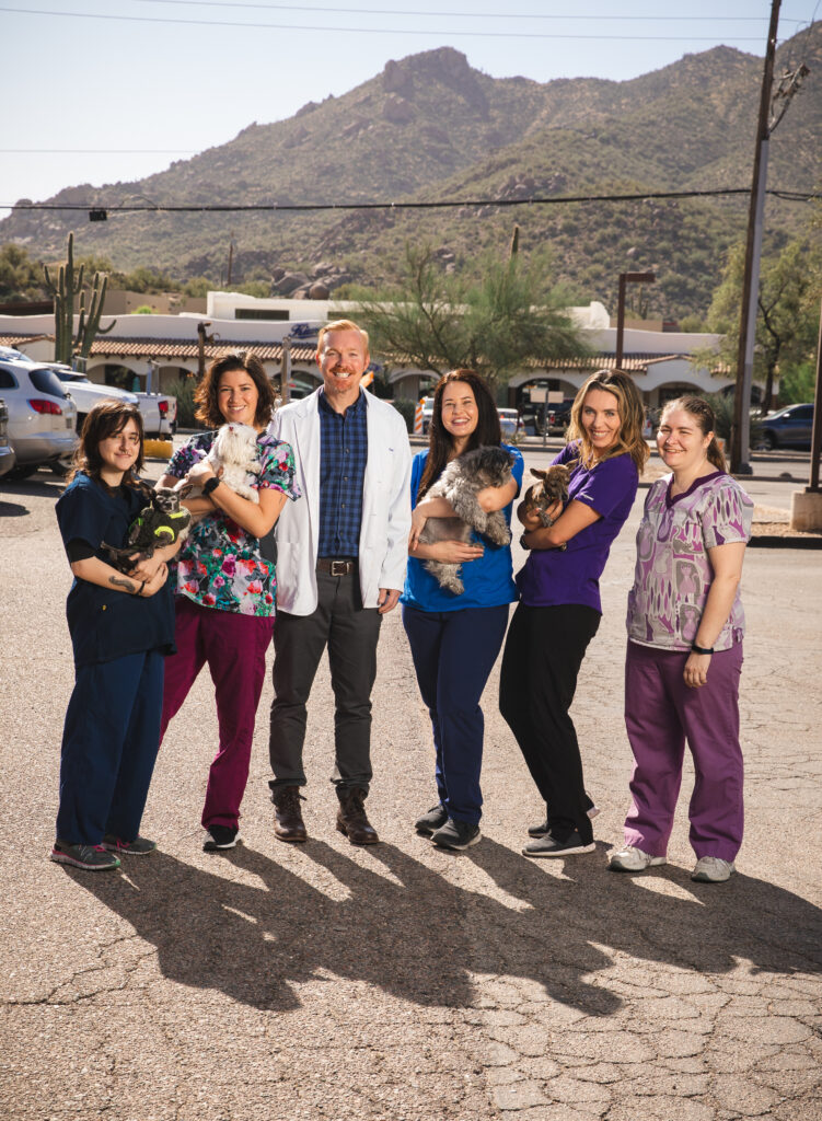 Desert Forest Animal Hospital veterinary team in Cave Creek, Arizona
