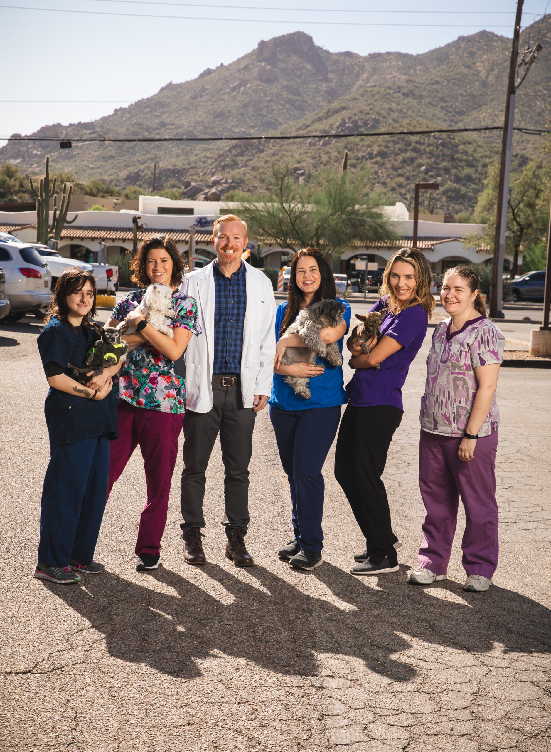 Desert Forest Animal Hospital veterinary team in Cave Creek, Arizona