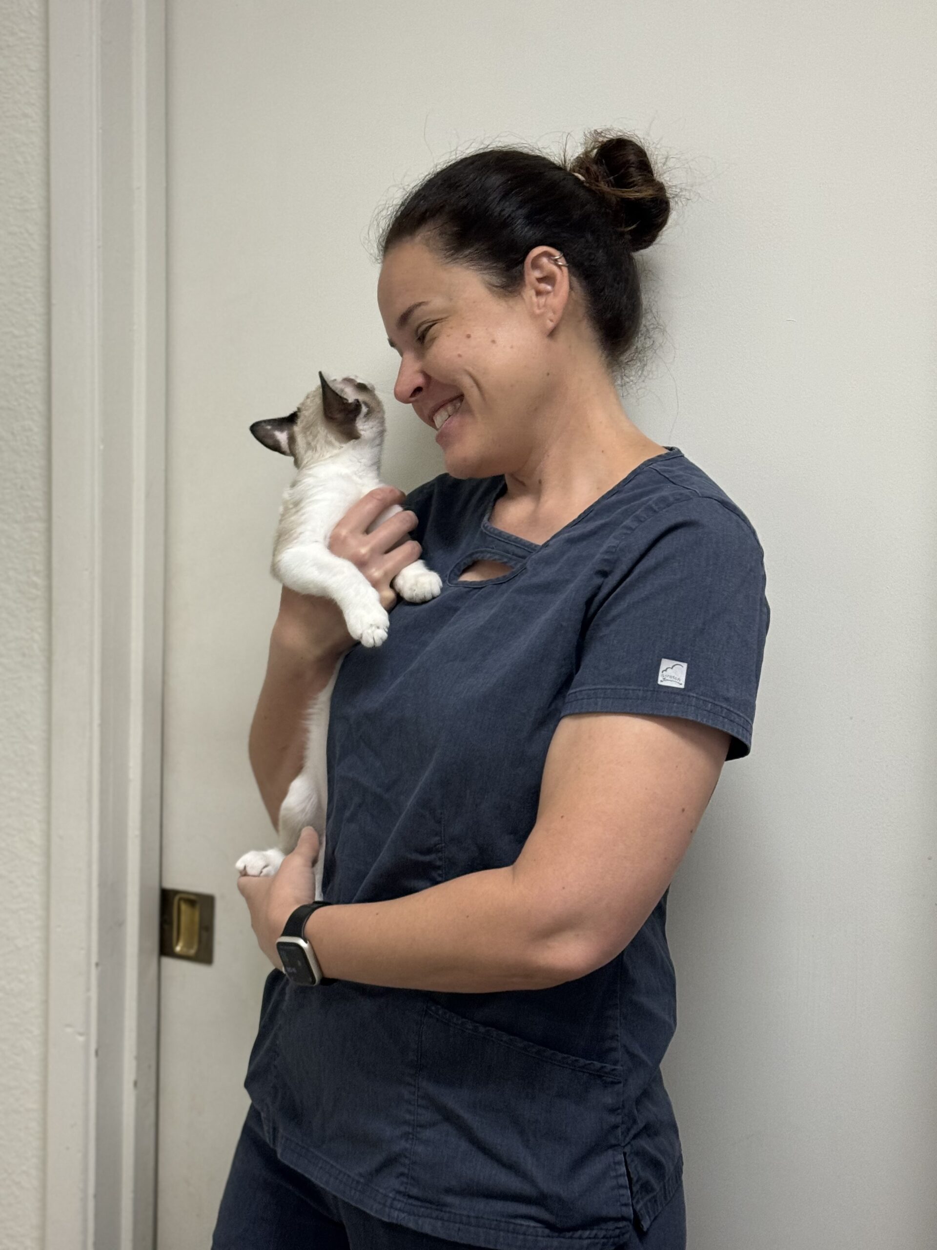 Desert Forest Animal Hospital veterinary team member holding a kitten during a cat visit in Cave Creek, Arizona