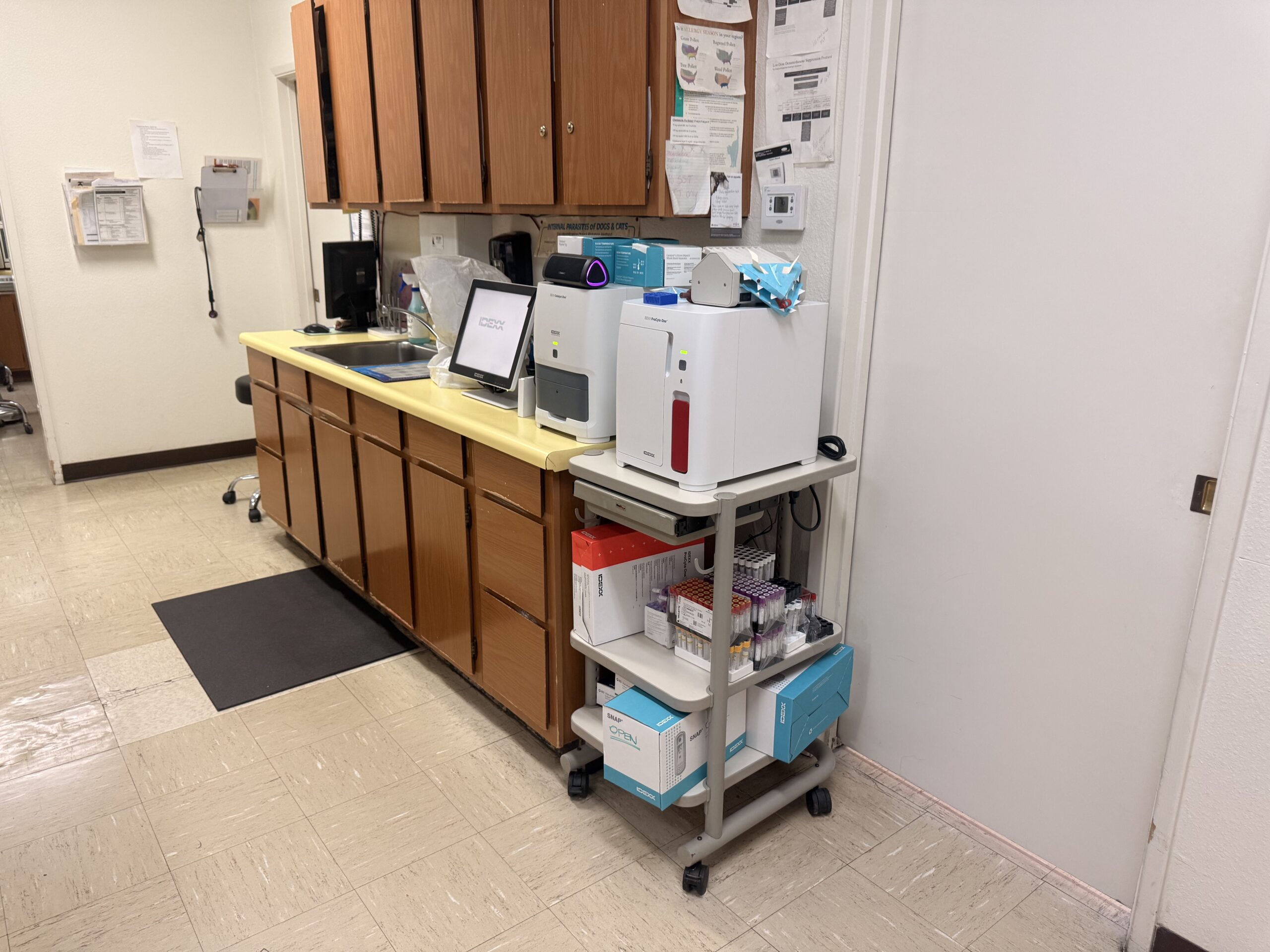 In-house veterinary lab equipment at Desert Forest Animal Hospital in Cave Creek, AZ