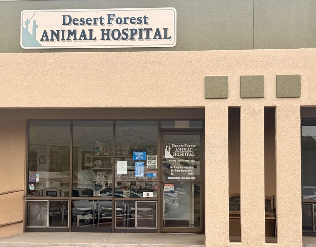Exterior of Desert Forest Animal Hospital in Cave Creek Arizona
