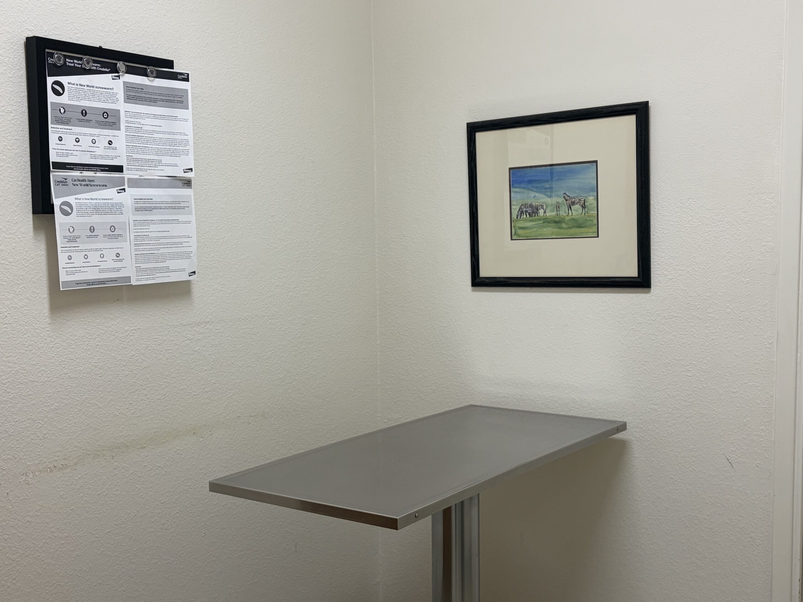 Examination room with veterinary table and framed artwork at Desert Forest Animal Hospital in Cave Creek Arizona