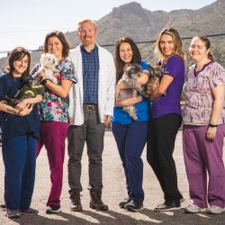 Desert Forest Animal Hospital veterinary team with pets outdoors in Cave Creek, Arizona